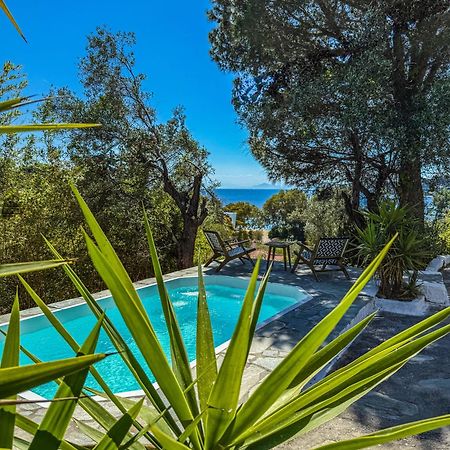 Tresor Boutique Home Κολιός Εξωτερικό φωτογραφία
